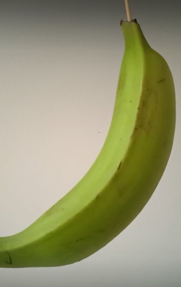 Plátano Hartón Primera